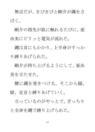 小説『亜由美』第二部 サンプル画像 3