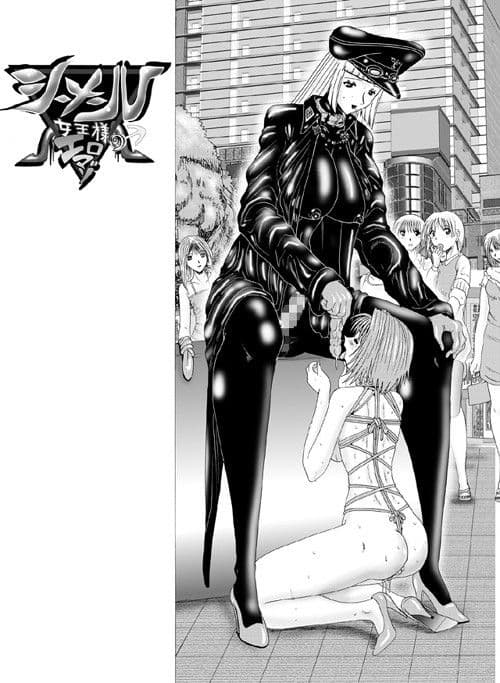 シーメール女王様のエロマゾ2と3 サンプル画像 1