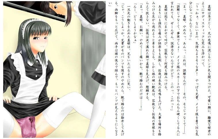 あにめいど！ 〜うちの兄貴はメイドさん！〜 サンプル画像 1