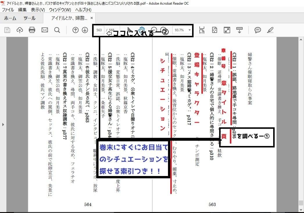 アイドルとか、婦警さんとか、バスケ部のキャプテンとかが四十路おじさん達にハメハメパコパコされる話 サンプル画像 2