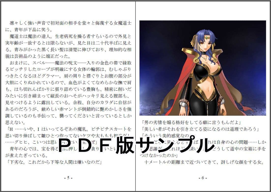 おい女魔道士、いれていいよな サンプル画像 4