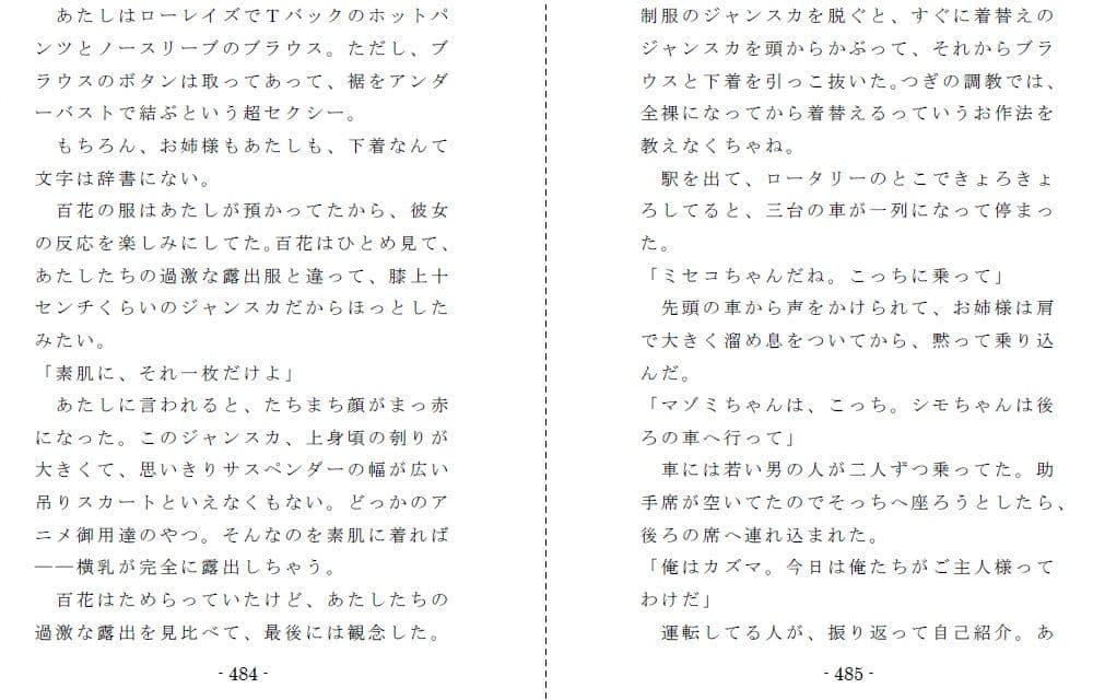 縄と鞭の体育補習 サンプル画像 6