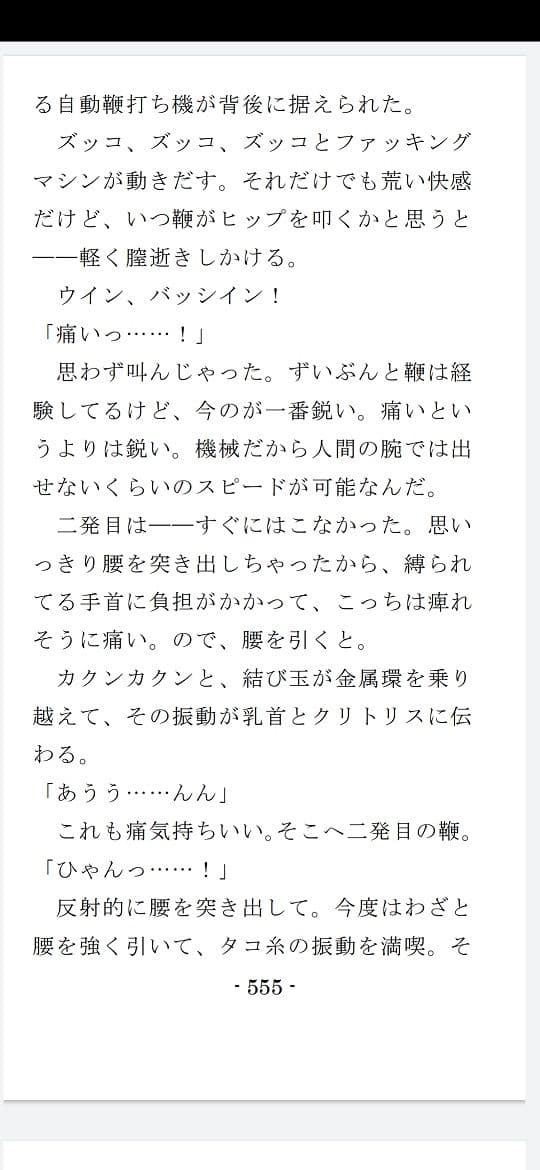 縄と鞭の体育補習 サンプル画像 7