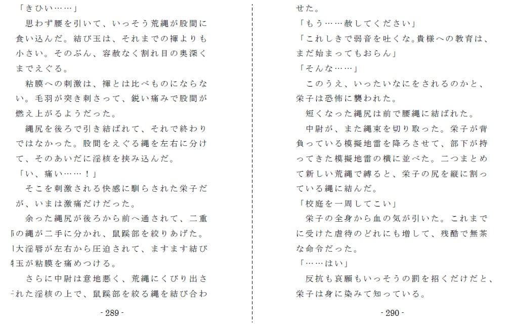 非国民の烙淫:前編（強●露出と娼婦教育） サンプル画像 5