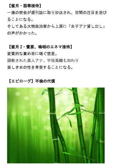 女子アナ密会 〜生々しき熱を帯びた竹林〜 サンプル画像 8