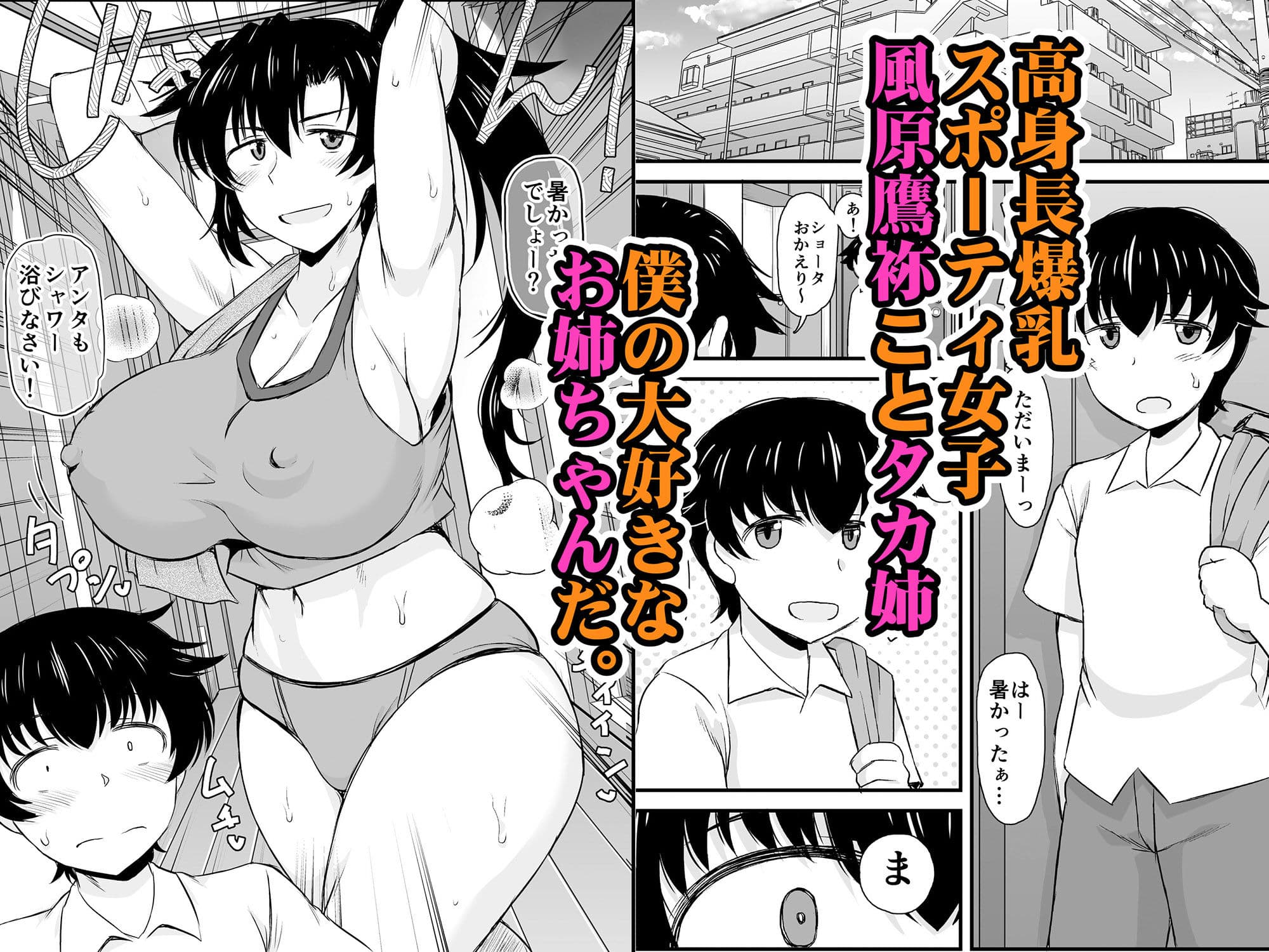 姉TRアネトラレ〜僕の大好きなお姉ちゃんがアイツに奪われた話〜DL増量版 サンプル画像 1