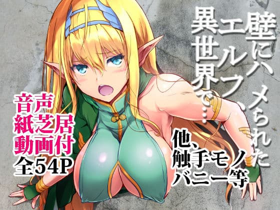 壁にハメられたエルフ、異世界で…色々オリジナル本セット