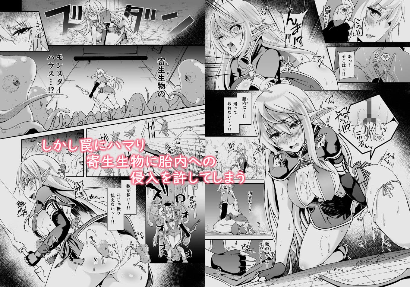 逃亡ELF5 サンプル画像 2