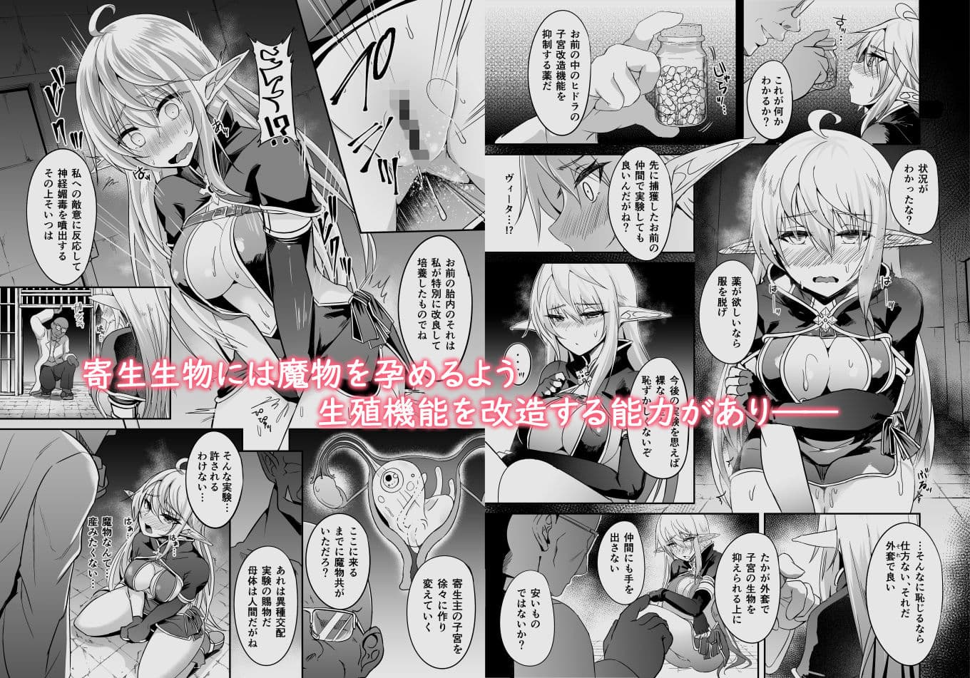 逃亡ELF5 サンプル画像 3