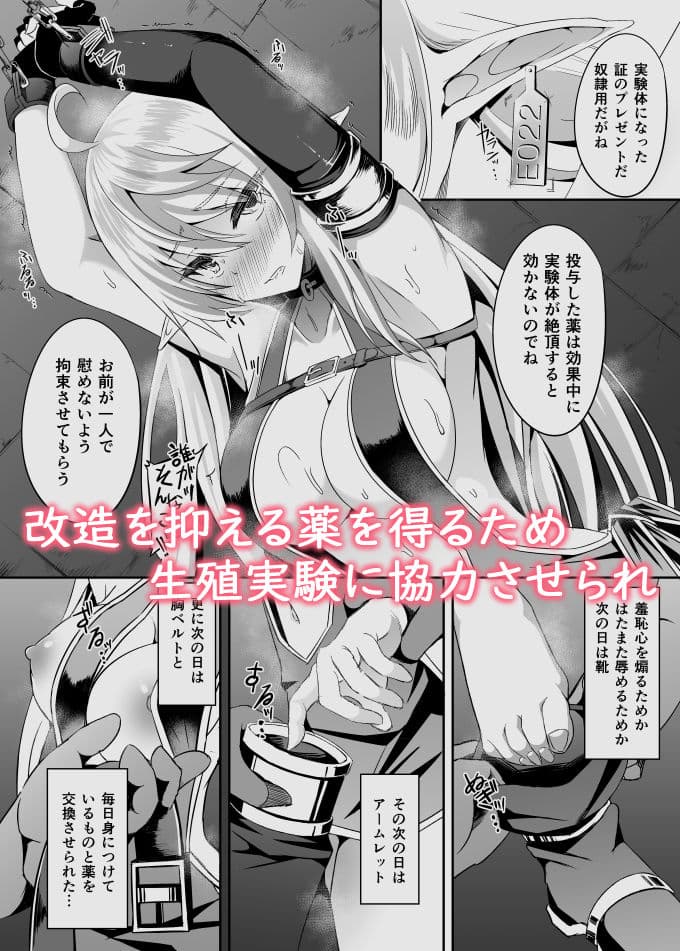 逃亡ELF5 サンプル画像 4