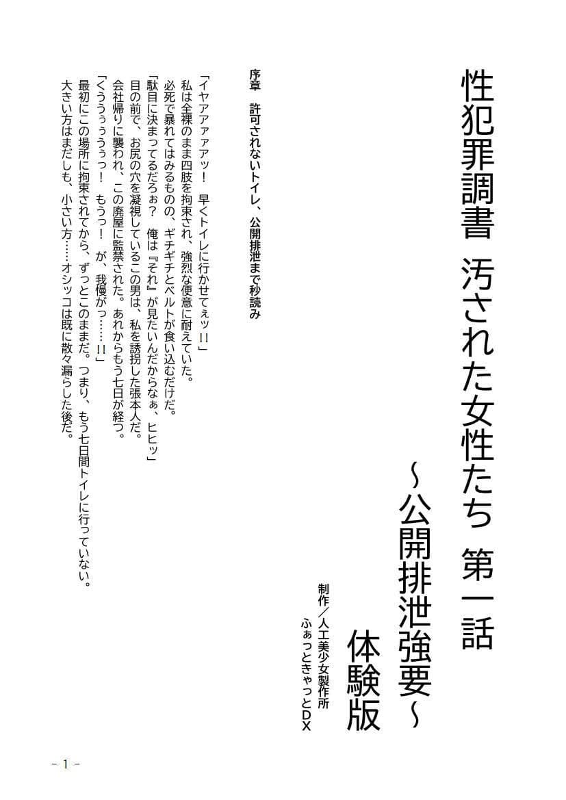性犯罪調書 汚された女性たち 〜コンプリートセット〜 サンプル画像 1