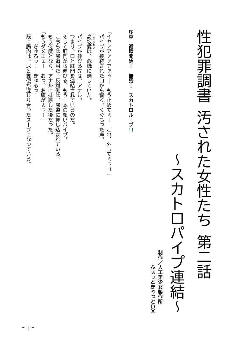 性犯罪調書 汚された女性たち 〜コンプリートセット〜 サンプル画像 3
