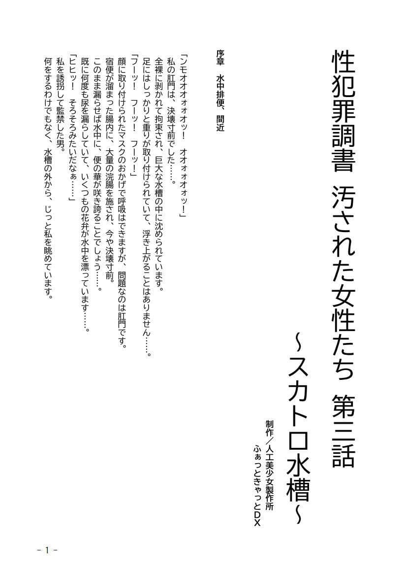 性犯罪調書 汚された女性たち 〜コンプリートセット〜 サンプル画像 5