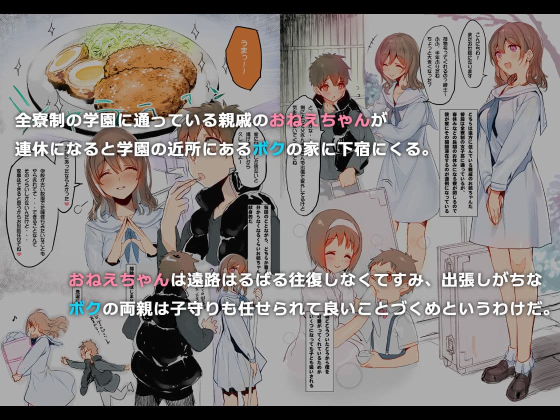 オスになった僕とメスになったおねえちゃん サンプル画像 1