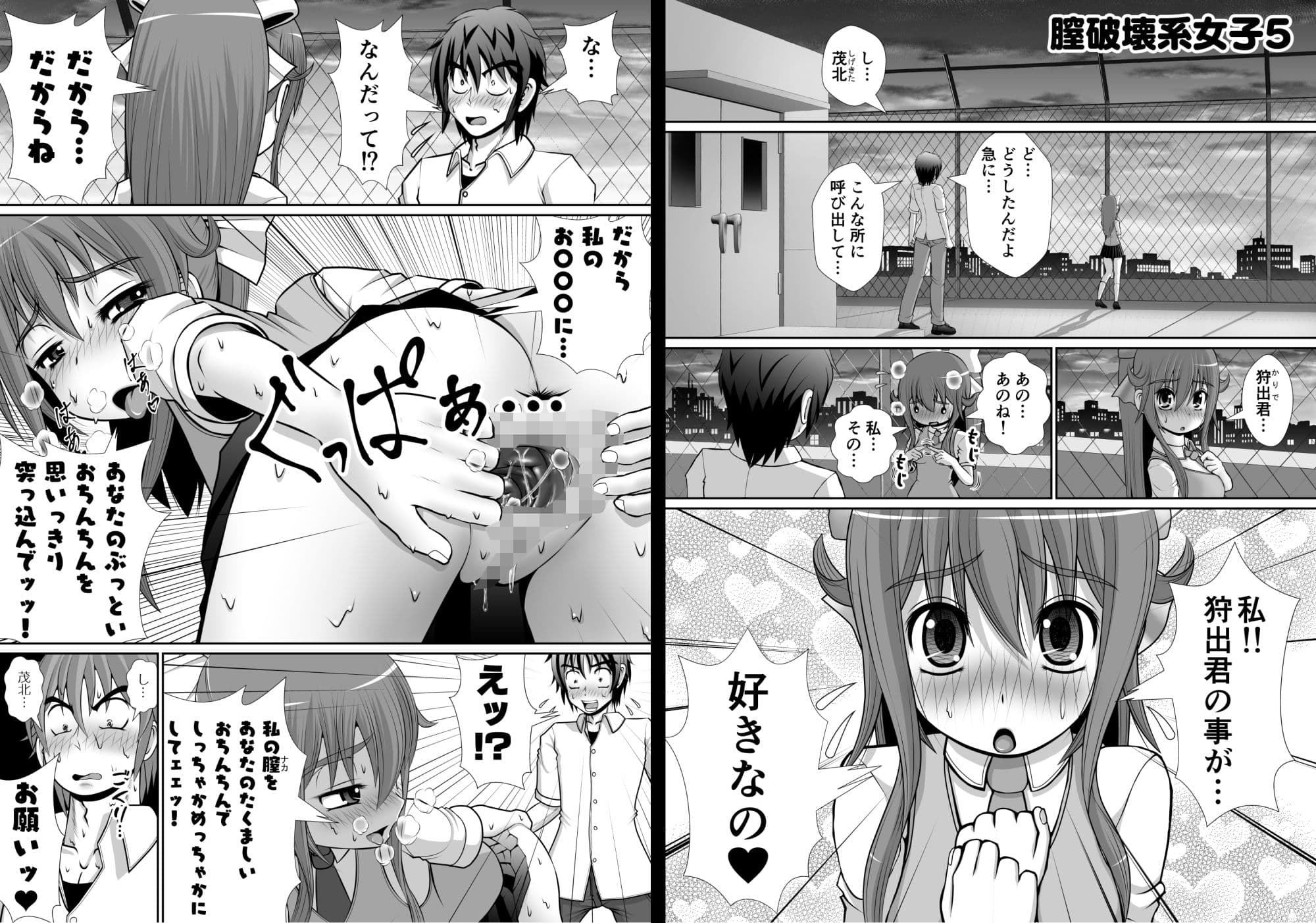 膣破壊系女子5その1 サンプル画像 1