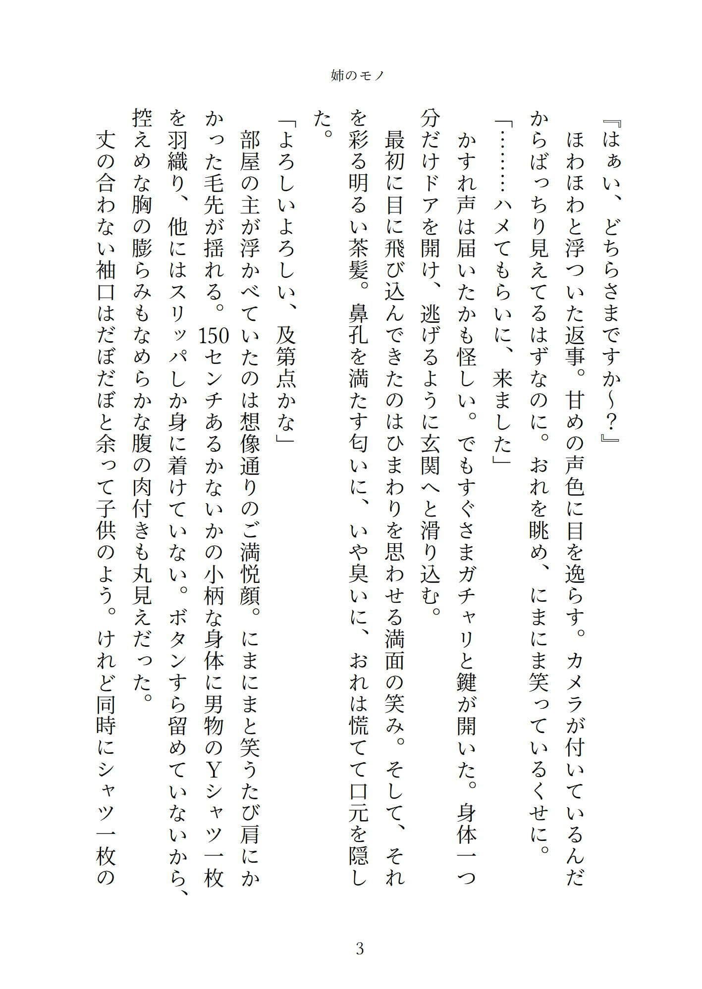 姉のモノ サンプル画像 7