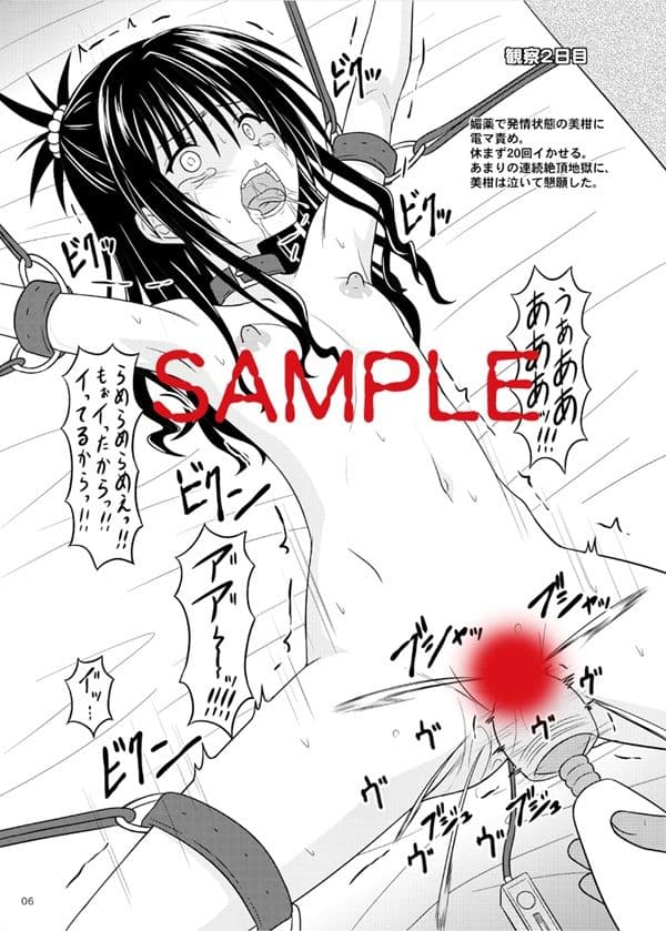 少女調教観察記録 サンプル画像 2