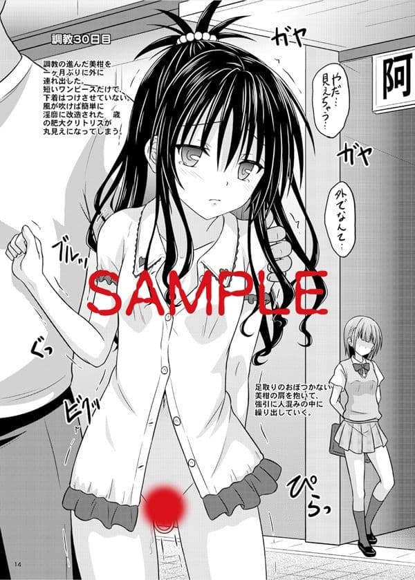 少女調教観察記録 サンプル画像 4