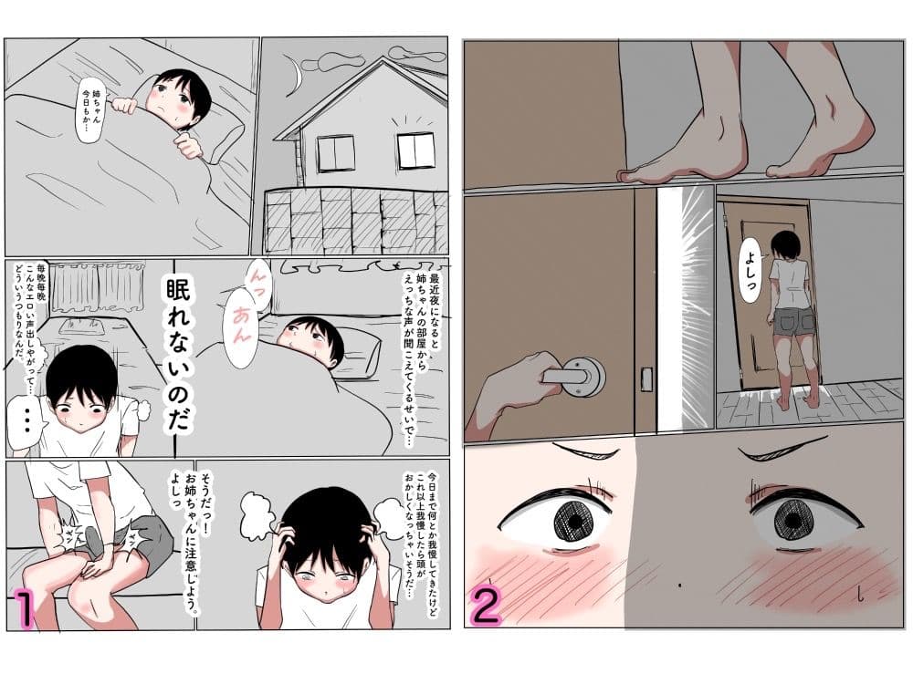 お姉ちゃんと中出しセックスするおとうと サンプル画像 2