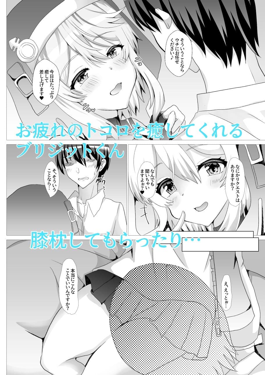 ブリジット詰めあわせ サンプル画像 1