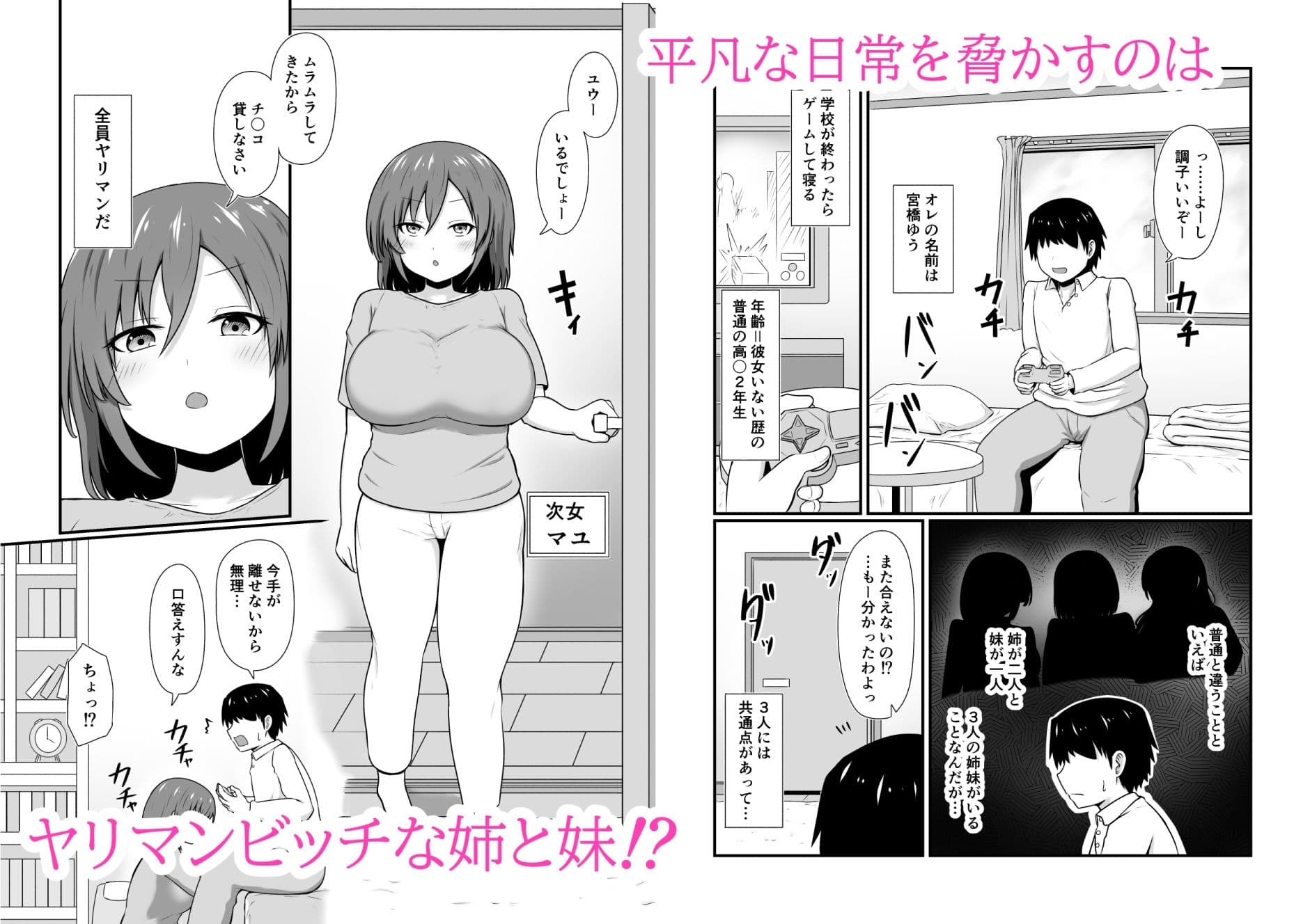 ヤリマン三姉妹と絶倫チ〇ポ弟の即ハメ日常生活 サンプル画像 2