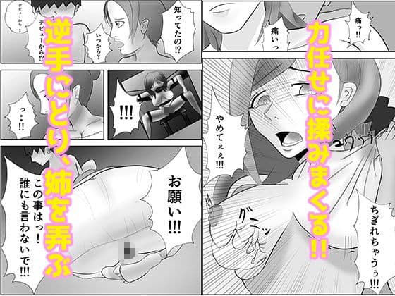 姉ちゃんはAV 女優 サンプル画像 2