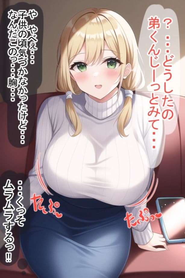 お姉ちゃんを盗撮してたことがバレたのでおしおきされました。 サンプル画像 1