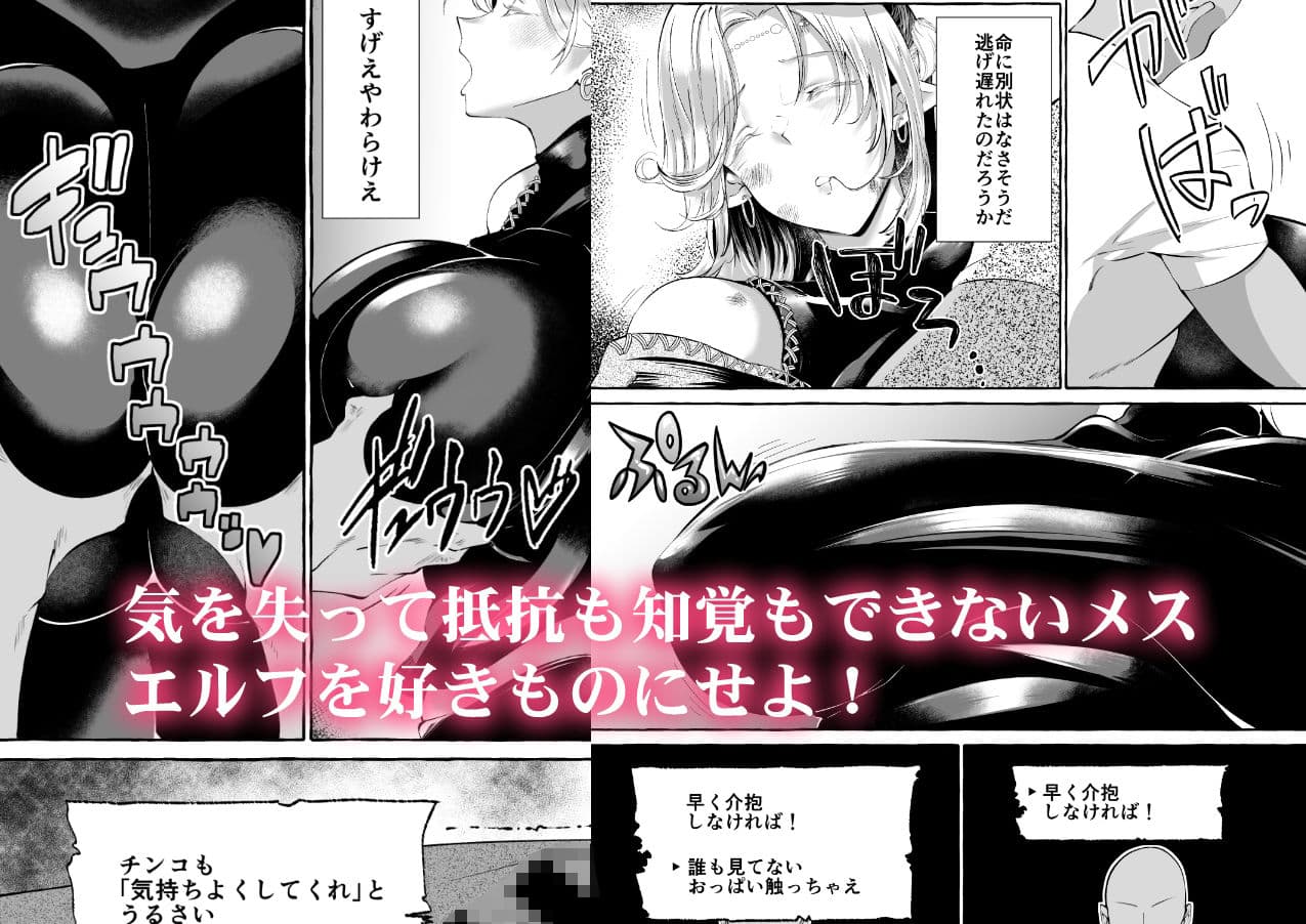 誰も見てないシリーズ 火事場欲望 エルフが落ちてたのでイタズラしてみた サンプル画像 1