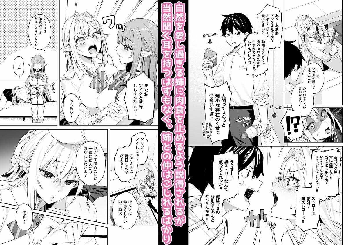 肉食系ヴィーガンギャルエルフは弟ちんぽに夢中 サンプル画像 2