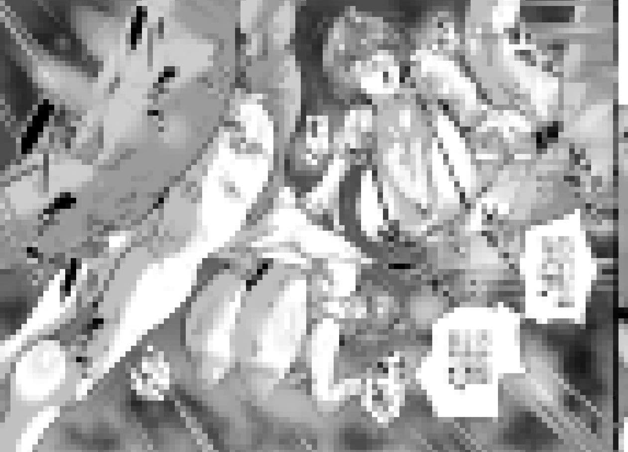 SEXしてなさそうな人ほどエグいSEXしてる説 Vol.4 サンプル画像 10