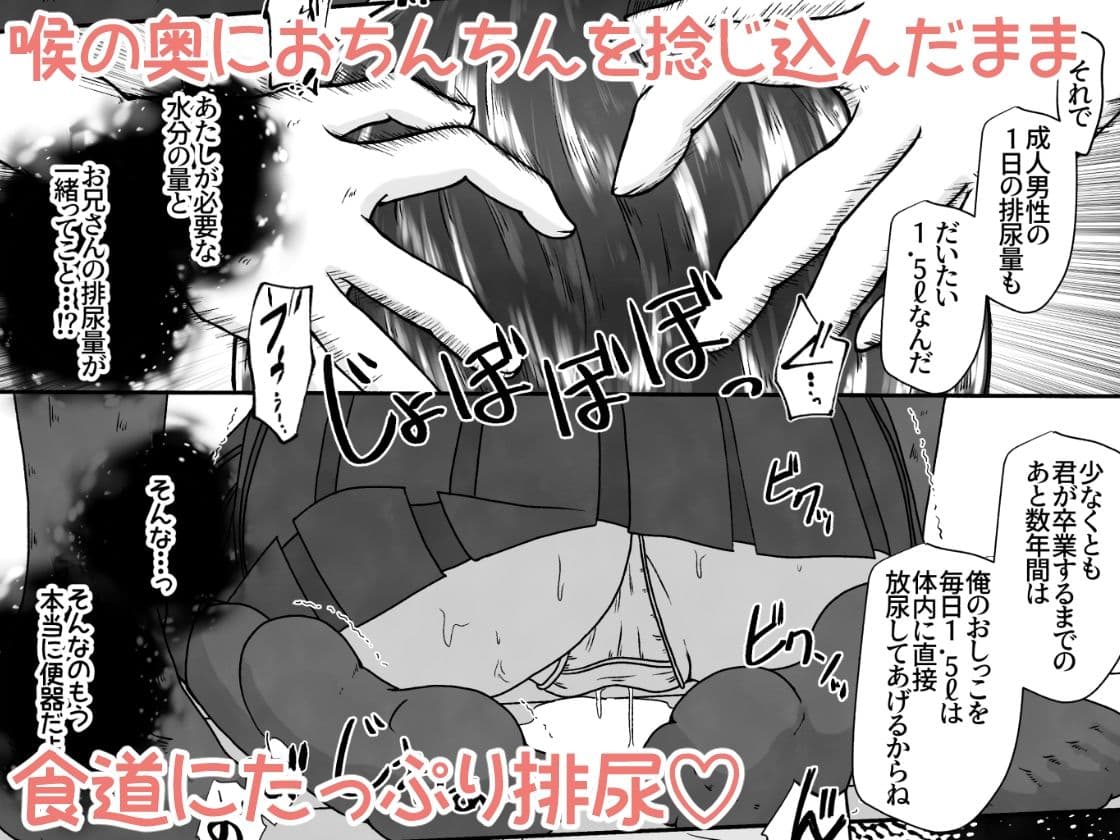 マンションの便器が壊れたので隣に住む女の子をトイレにするお話 サンプル画像 6