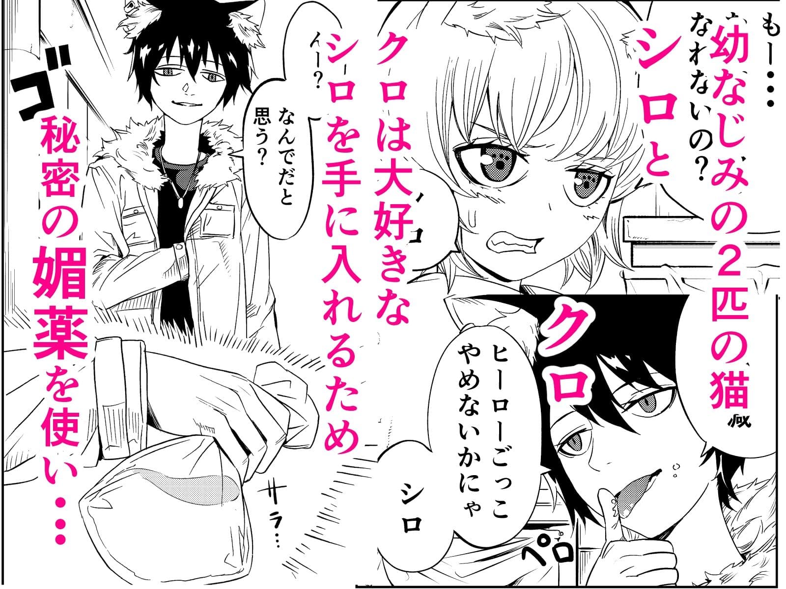 ホワイトキャットVSブラックキャット サンプル画像 1