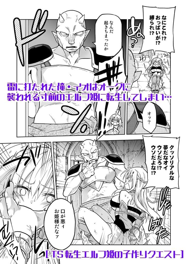 TS転生エルフ姫の子作りクエスト サンプル画像 1