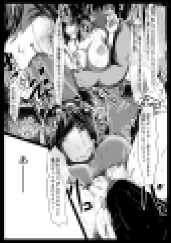 俺のヒロインが全員NTR サンプル画像 3