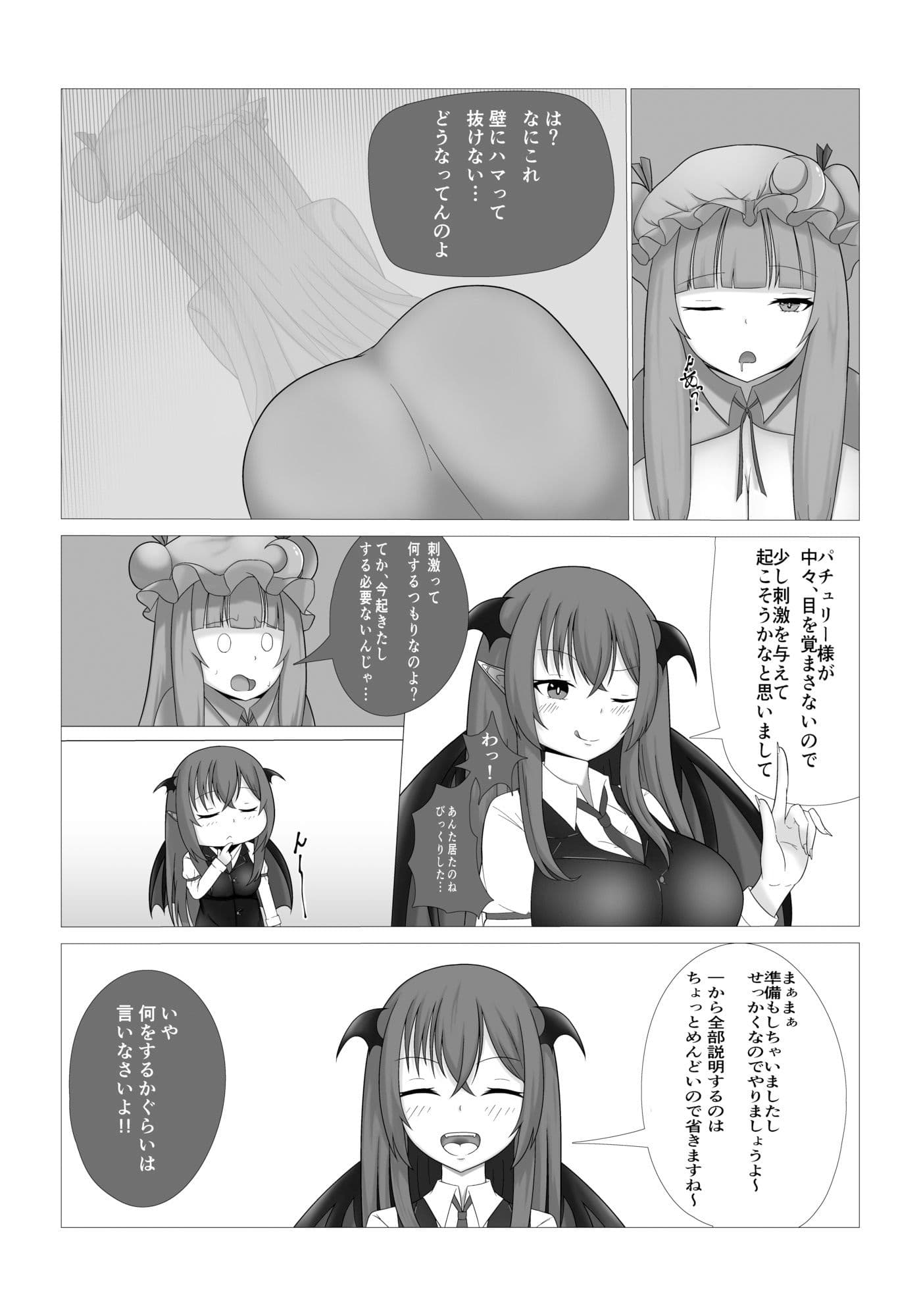 パチュリー様の壁尻本 サンプル画像 3