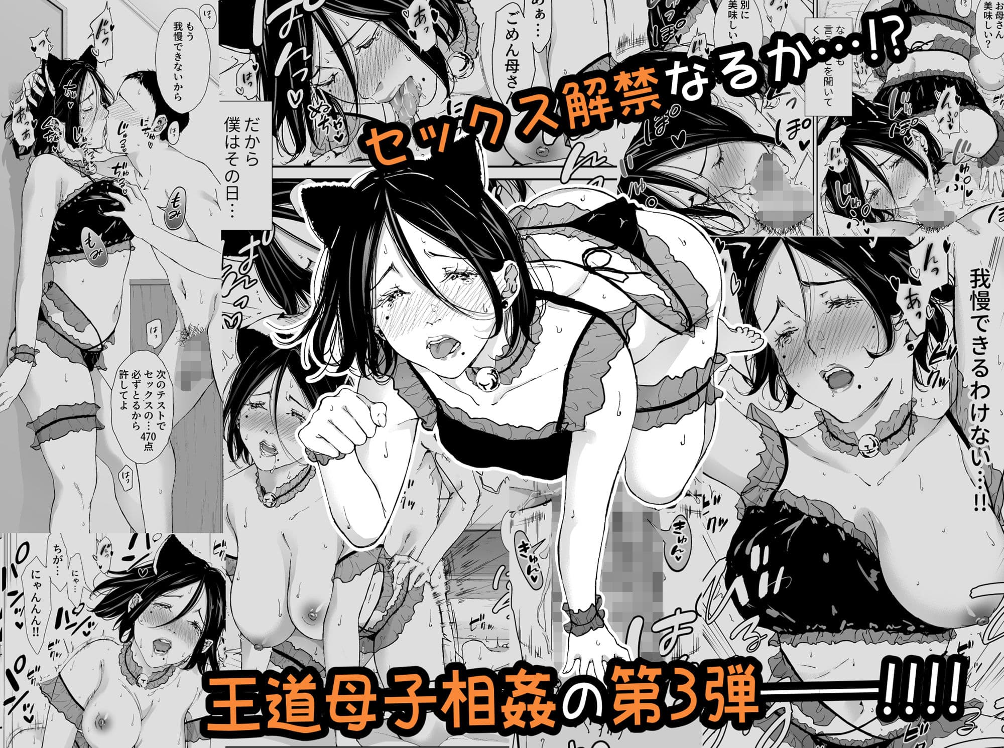 僕の大好きな母さんと思う存分セックスできる日 3 サンプル画像 5