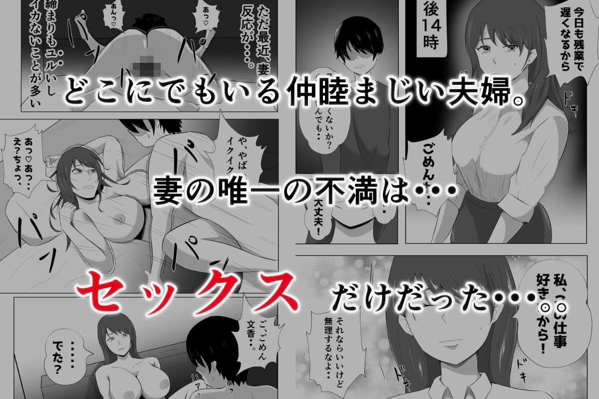 妻が俺に内緒で同人AVに出ているのだが・・・。 サンプル画像 1