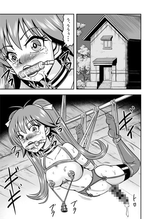 男の娘を捕まえたので女装マゾとして飼いますわ（後） サンプル画像 2