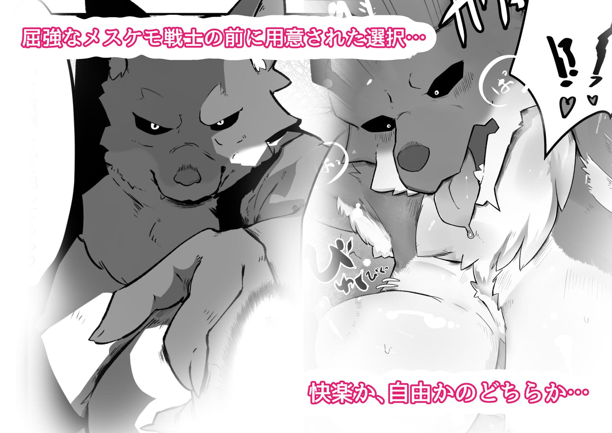 くっころから始まるケモエロ漫画 サンプル画像 2