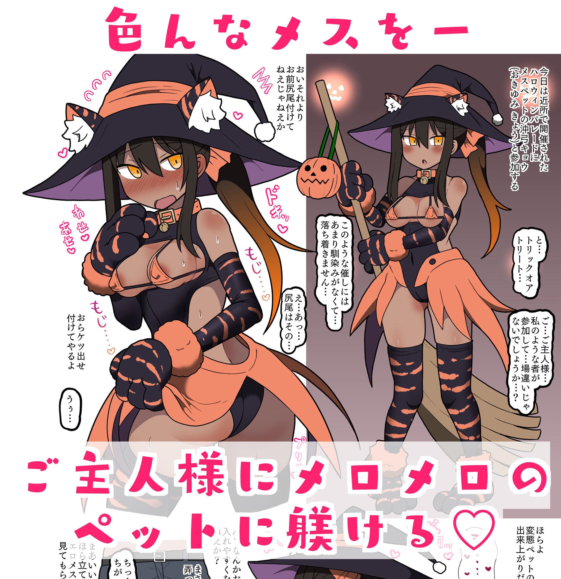 メスペットシリーズ総集編vol.3 サンプル画像 1