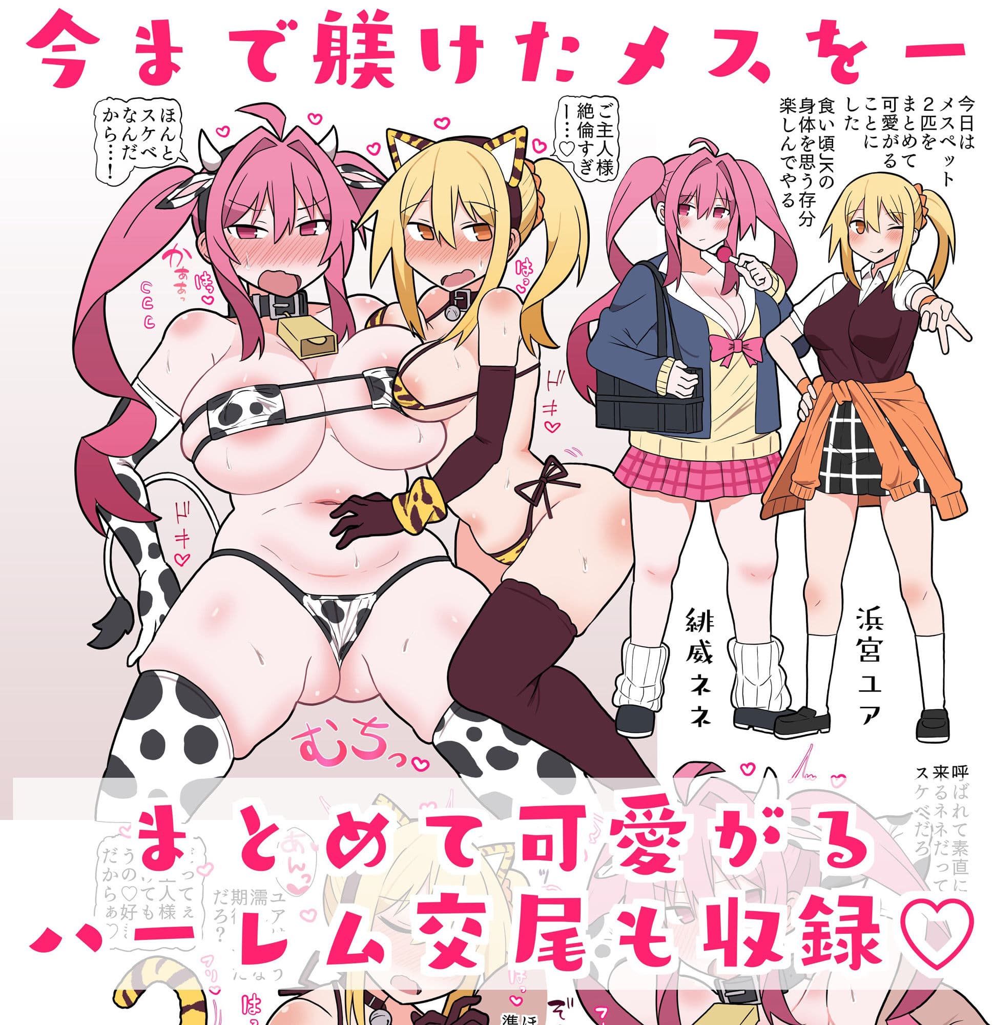 メスペットシリーズ総集編vol.4 サンプル画像 2