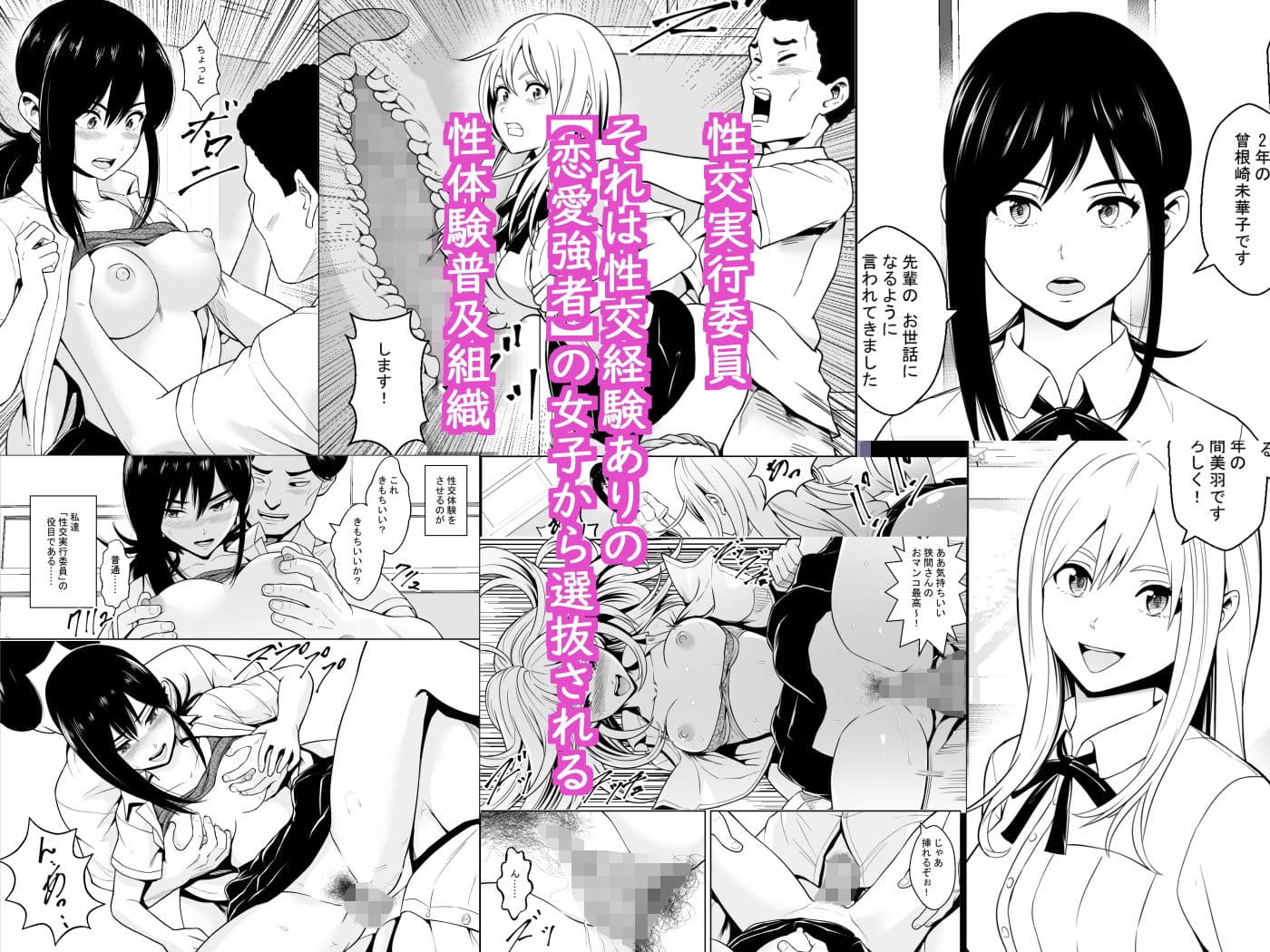 性交実行委員 サンプル画像 1