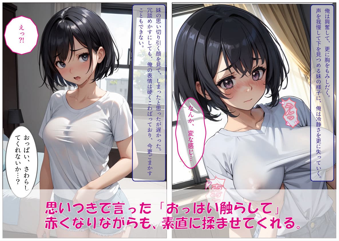 俺に従順な妹を調教して、専用オナホールにした件 サンプル画像 3