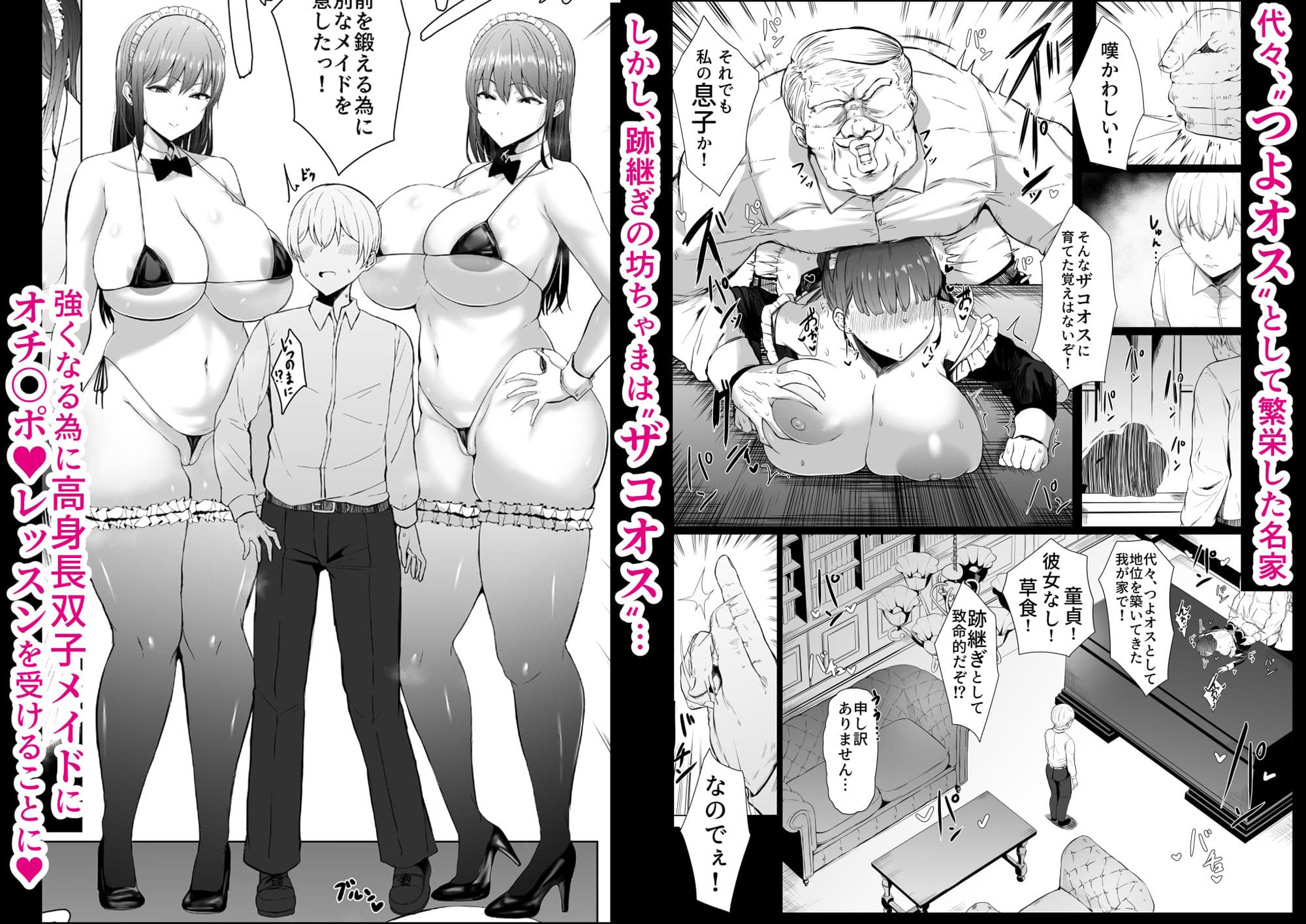 高身長双子メイドのオチ〇ポレッスン サンプル画像 2