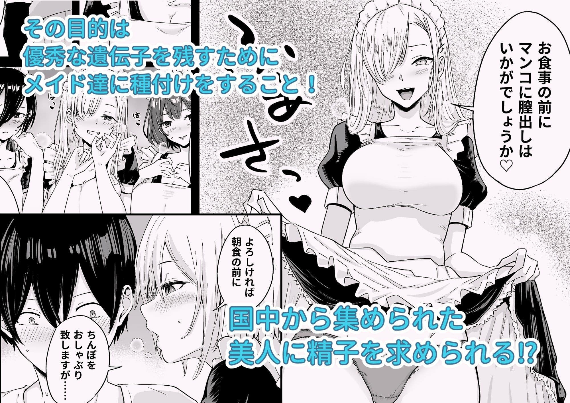 Sランク遺伝子認定されたので、優秀な子供を作るためメイドに中出しして妊娠させる話。 サンプル画像 3