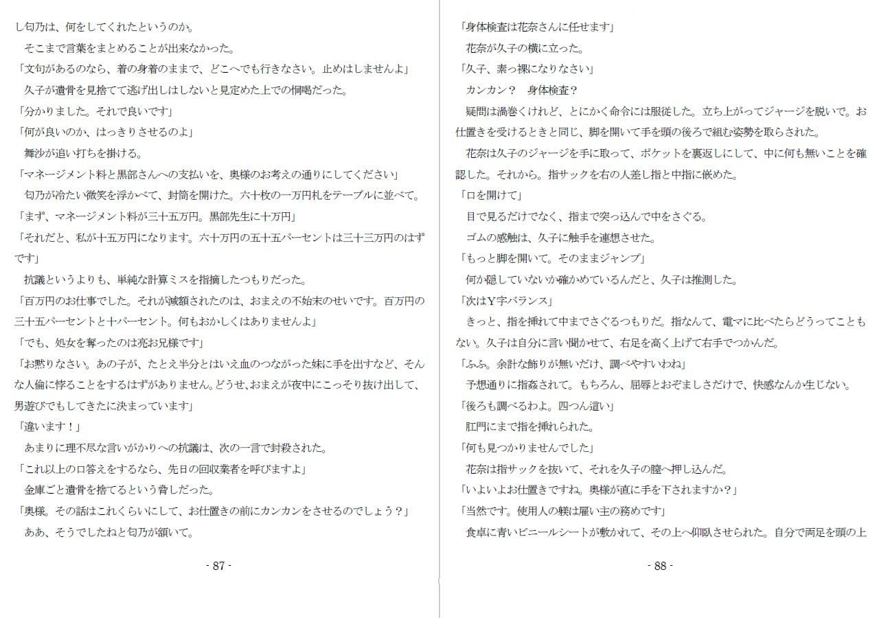 800万円のDVR:1淫虐調教編 サンプル画像 8