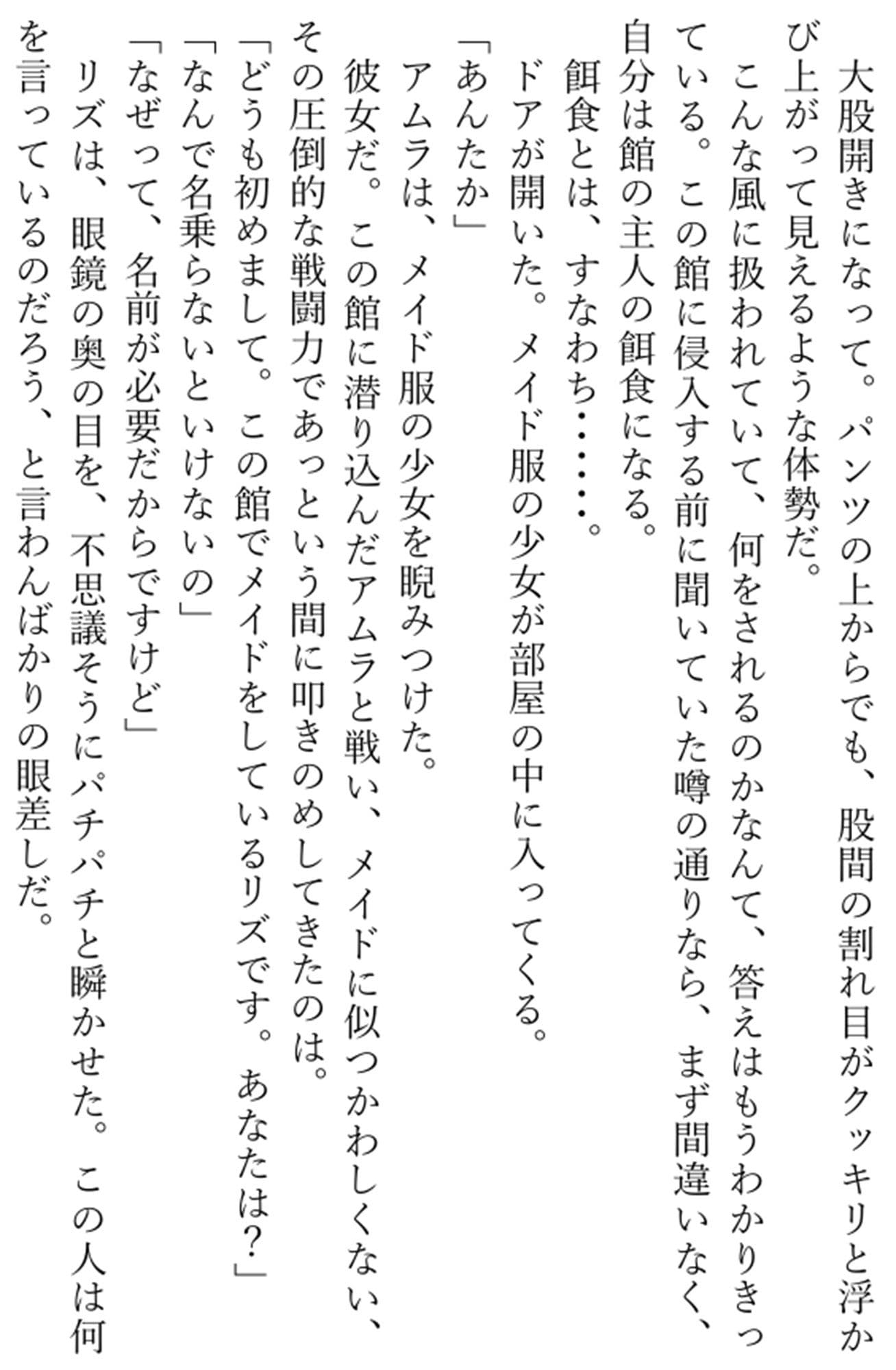 雷の戦士ライディ〜女盗賊アムラと淫従のメイド〜 サンプル画像 1