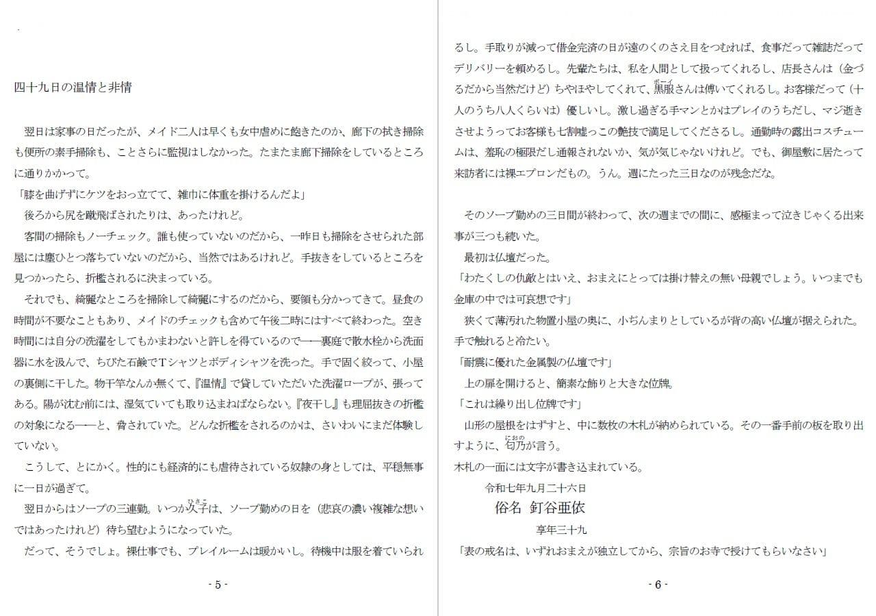 800万円のDVR:2酷虐使役編 サンプル画像 2