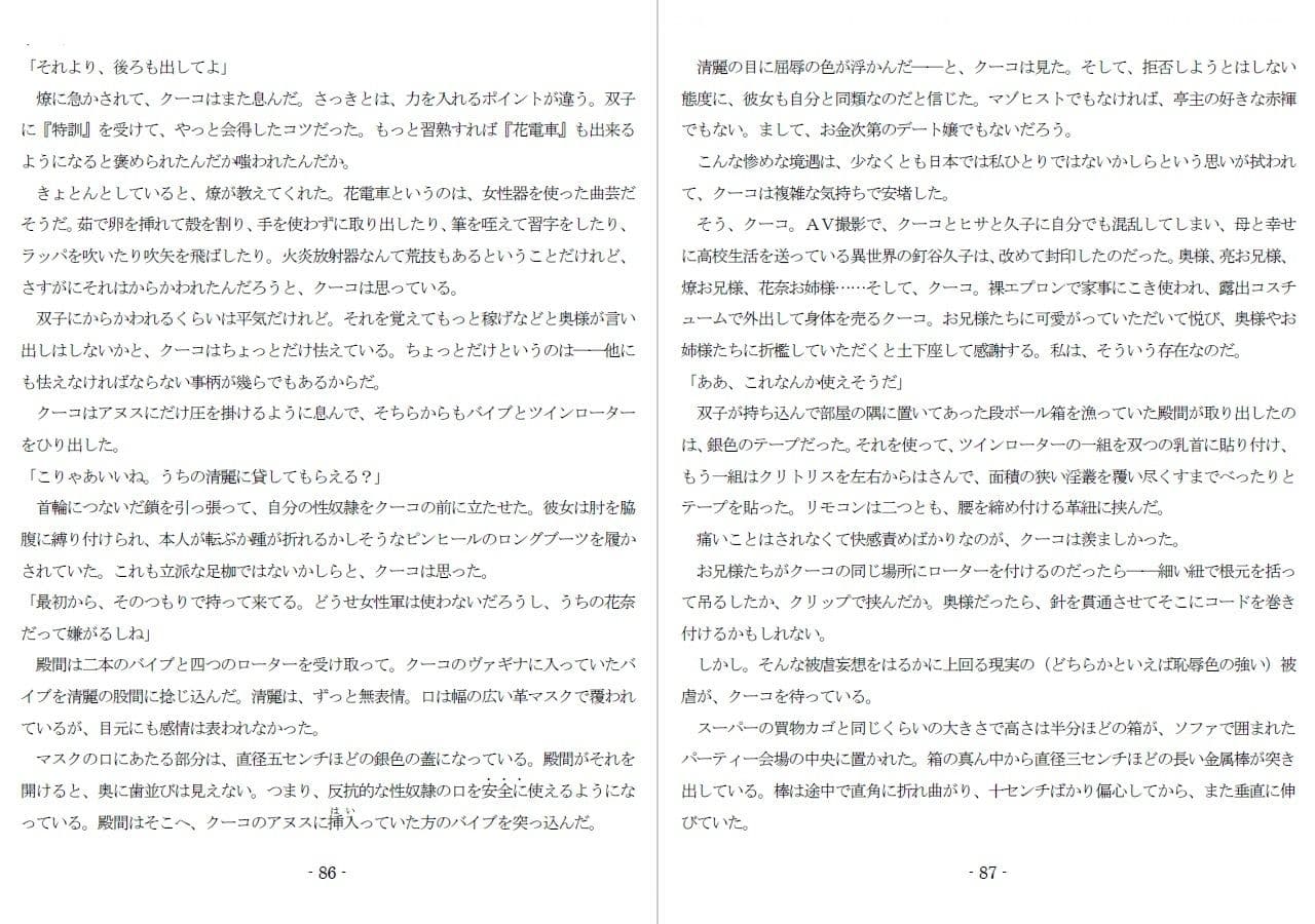 800万円のDVR:2酷虐使役編 サンプル画像 6