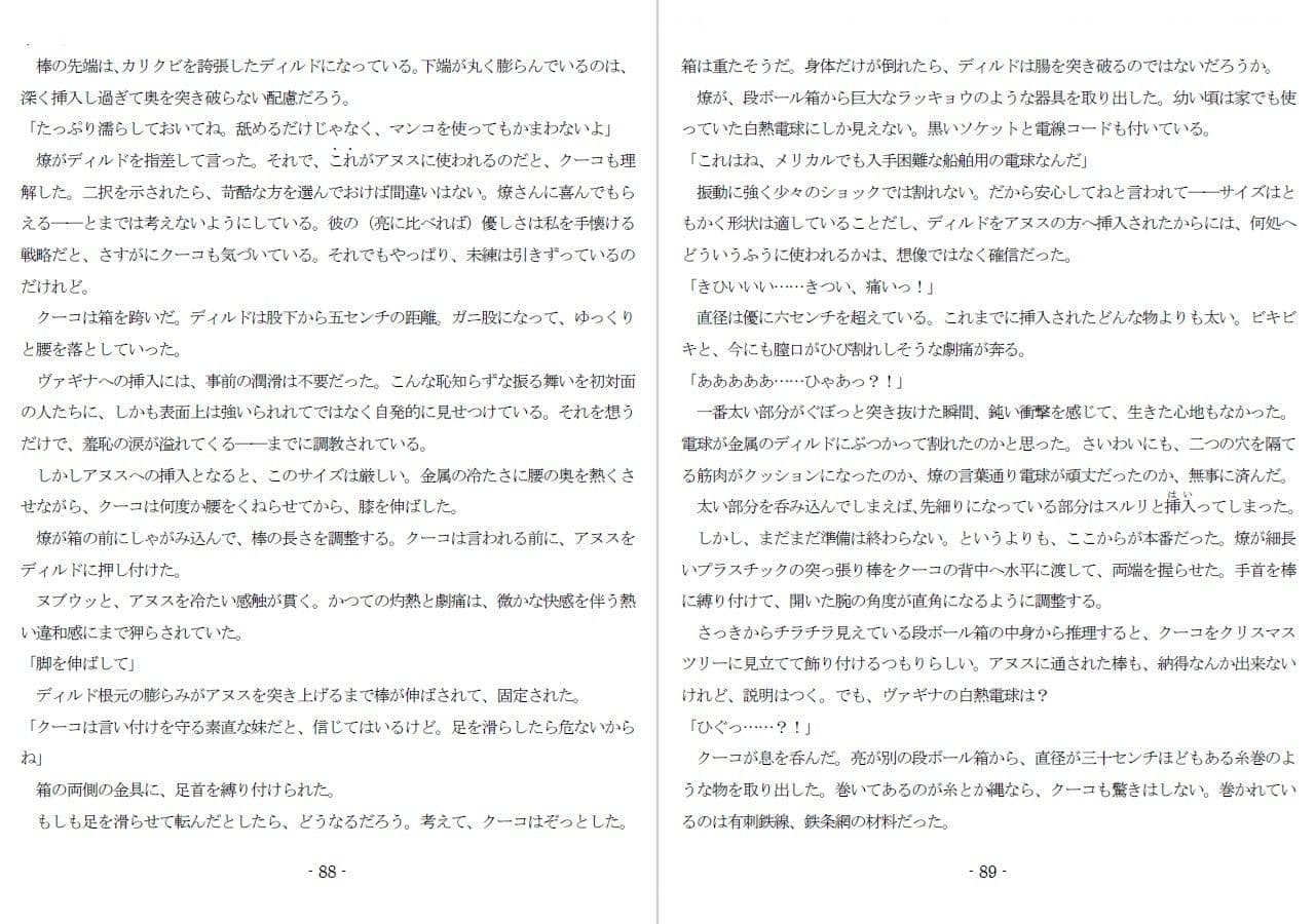 800万円のDVR:2酷虐使役編 サンプル画像 7